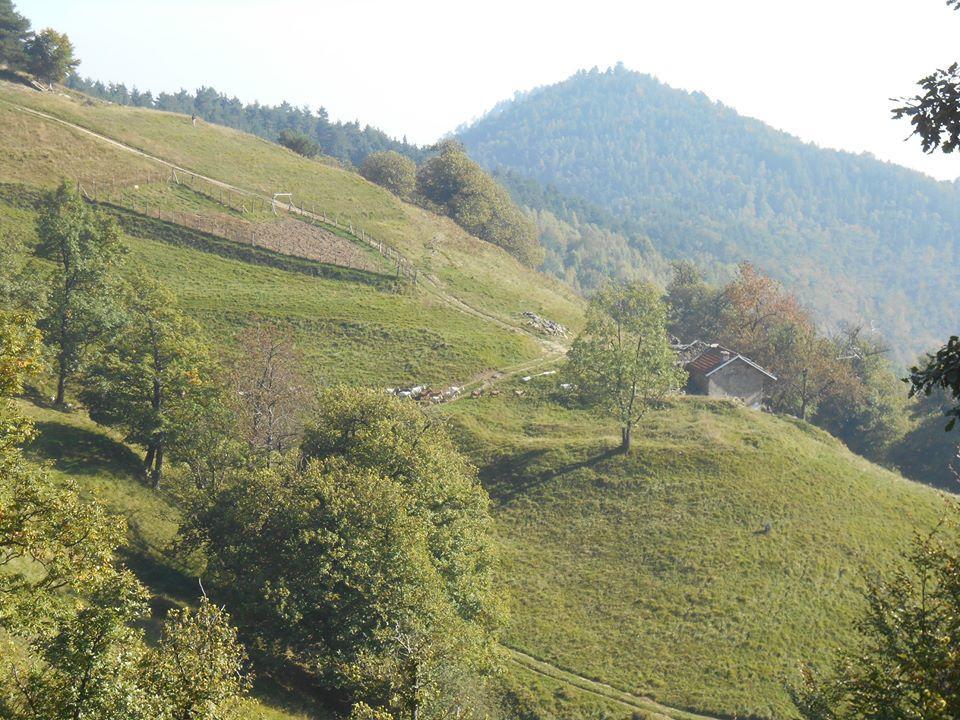 Agriturismo Fiorendo Pinerolo Luaran gambar