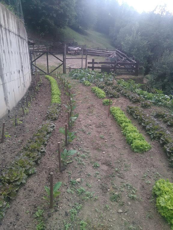 Agriturismo Fiorendo Pinerolo Luaran gambar